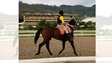 Jockey que nunca ha ganado en La Rinconada con gran oportunidad de tomarse su primera foto Jockey que nunca ha ganado en La Rinconada con gran oportunidad de tomarse su primera foto