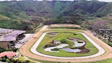 Datos de Última Hora para el Hipódromo La Rinconada 03-03-2024