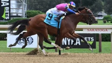 ¡Siguen las deserciones! La campeona Just F Y I retirada del Davona Dale