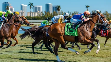 Así quedaron los resultados de las carreras Gulfstream Park 02-03-2024