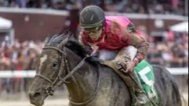 Joel Rosario con Deterministic se anota al Kentucky Derby en el Gotham S. (G2) Joel Rosario con Deterministic se anota al Kentucky Derby en el Gotham S. (G2)