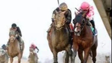 Dornoch, el hermano de Mage gana el pase al Kentucky Derby