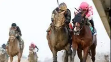 Dornoch, el hermano de Mage gana el pase al Kentucky Derby Dornoch, el hermano de Mage gana el pase al Kentucky Derby