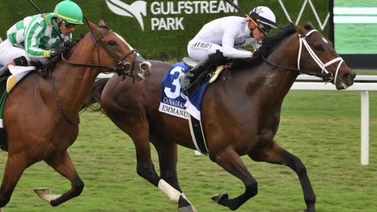 Mira cuantas carreras ganó el puertorriqueño Irad Ortiz Jr el sábado