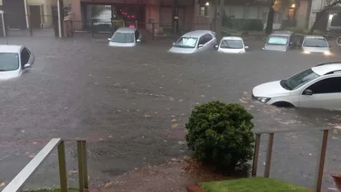 ¡Grave! Increíbles imágenes muestran la realidad de Uruguay tras las lluvias