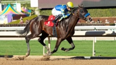 Los de Baffert llegan 1-2 en clasificatoria al Derby en el que no pueden correr (+Video)