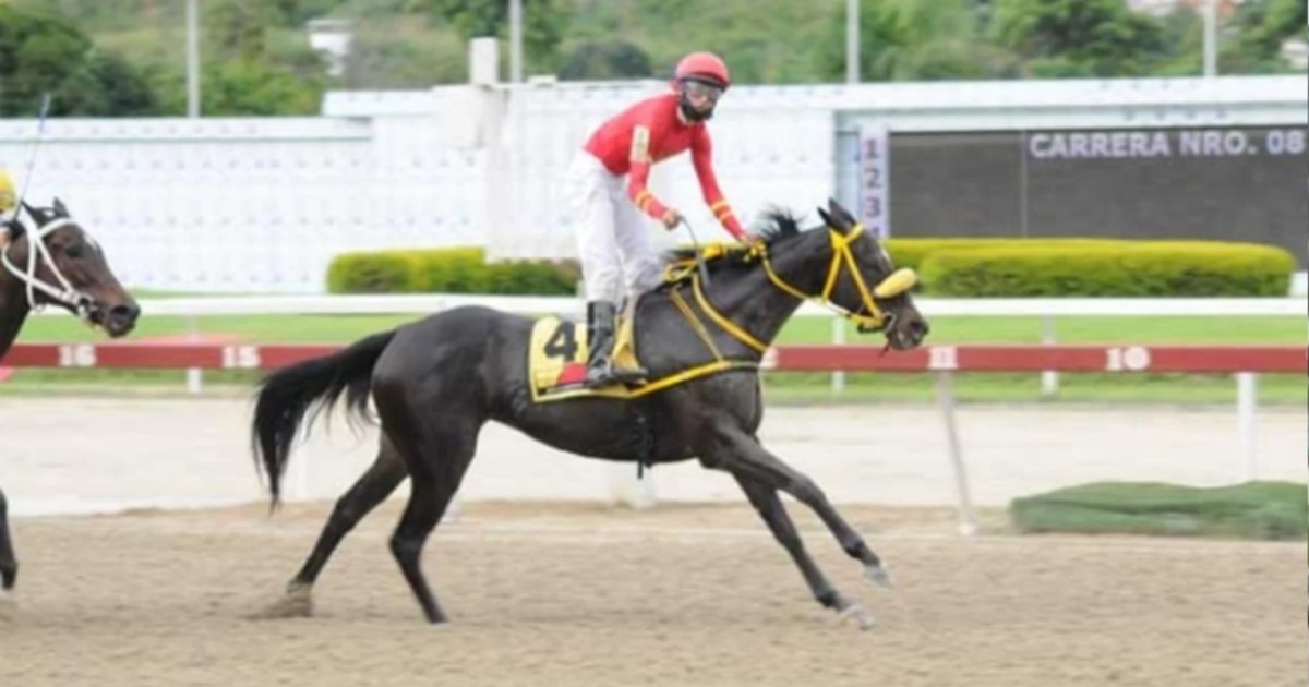 La Rinconada Racecourse Incident: Julio Moncada Suspended, Altanera Disqualified – Full Race Recap