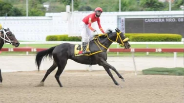 Entérate del tiempo que este jockey aprendiz estará suspendido en La Rinconada