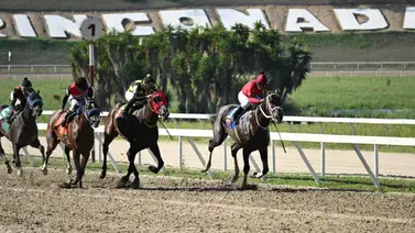 Conoce que informó el jinete de Mateo Of Boston a los comisarios del INH Conoce que informó el jinete de Mateo Of Boston a los comisarios del INH