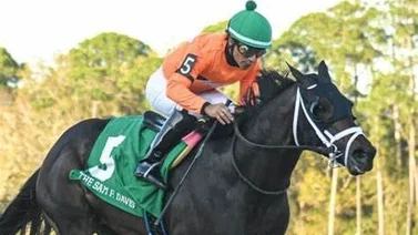 Dupla venezolana va con este ejemplar en clasificatoria al Kentucky Derby