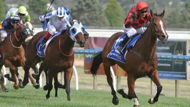 Entrenador de caballos de carrera suspendido 5 años por esta razón Entrenador de caballos de carrera suspendido 5 años por esta razón