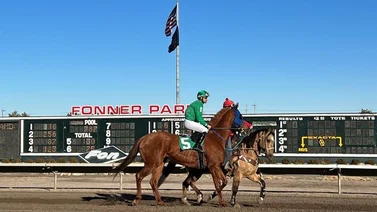 Cuatro jockeys lesionados y 2 ejemplares muertos en este hipódromo de Estados  Unidos