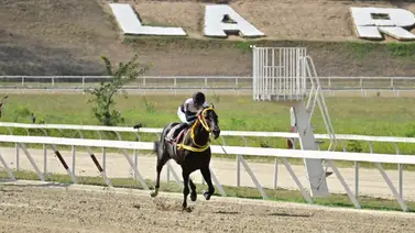 Un total de dos clásicos se disputarán en la novena reunión de La Rinconada Un total de dos clásicos se disputarán en la novena reunión de La Rinconada