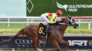 Jockeys puertorriqueños los más destacados del domingo en Gulfstream Park 