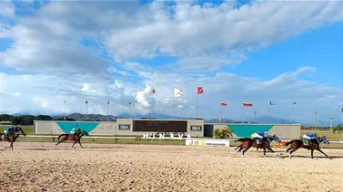 Copa Money Plus será evento principal en la reunión cinco en el Hipódromo Nacional de Valencia