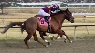 Un puertorriqueño y un venezolano cabeza a cabeza en esta estadística de jockeys