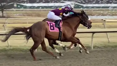 Un puertorriqueño y un venezolano cabeza a cabeza en esta estadística de jockeys Un puertorriqueño y un venezolano cabeza a cabeza en esta estadística de jockeys