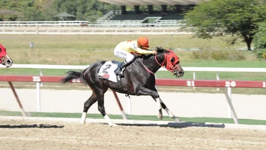Aprendiz campeón de un meeting reaparece esta semana en La Rinconada