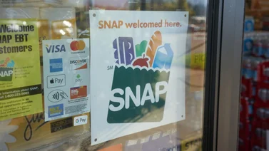 ¡Se acabó la espera! NYC está gestionando los retrasos en la entrega de beneficios SNAP