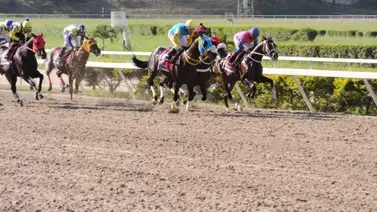 Hijo de semental que ha dado varios ganadores clásicos vuelve a correr en la Rinconada después de 126 días Hijo de semental que ha dado varios ganadores clásicos vuelve a correr en la Rinconada después de 126 días