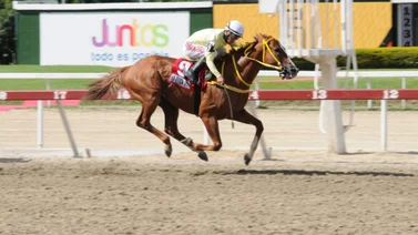 Campeón sprinters en la Rinconada regresa después de 91 días sin correr