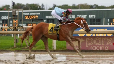Jockey criollo con triunfo este lunes en este hipódromo de Estados Unidos