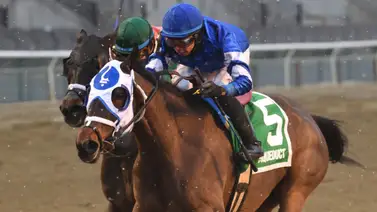 Jockey boricua busca extender racha de victorias en stakes Grado 2 Jockey boricua busca extender racha de victorias en stakes Grado 2
