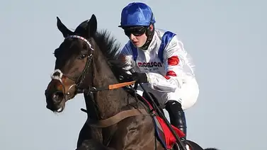 Gloria del Fútbol va por 400.000 Euros en estas carreras de caballos Gloria del Fútbol va por 400.000 Euros en estas carreras de caballos