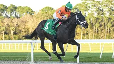 Este entrenador venezolano está entre los 10 más ganadores de Estados Unidos en 2.024 Este entrenador venezolano está entre los 10 más ganadores de Estados Unidos en 2.024