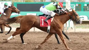 Látigo criollo domina la estadística de este meeting en Estados Unidos Látigo criollo domina la estadística de este meeting en Estados Unidos