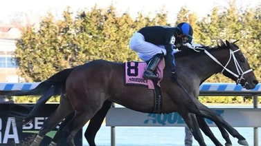 Jockey venezolano el más destacado del martes en este hipódromo de Estados Unidos