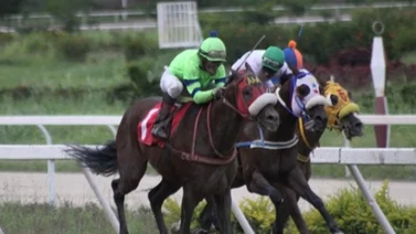 Jockey que no gana desde 2021 puede dar la sorpresa con esta yegua en la última del domingo