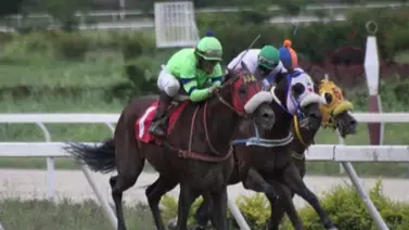 Jockey que no gana desde 2021 puede dar la sorpresa con esta yegua en la última del domingo Jockey que no gana desde 2021 puede dar la sorpresa con esta yegua en la última del domingo
