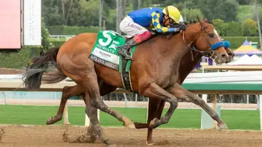 Astro de la fusta alcanza nuevo récord en Estados Unidos para su brillante carrera Astro de la fusta alcanza nuevo récord en Estados Unidos para su brillante carrera