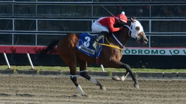Después de más de 2 años de ausencia este jockey venezolano vuelve a ganar