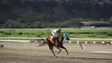 Jockey venezolano logra esta hazaña por primera vez en su carrera en Estados Unidos 