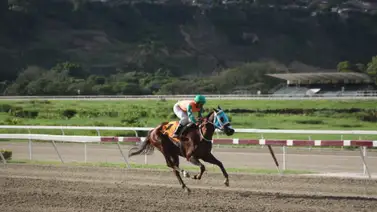 Jockey venezolano logra esta hazaña por primera vez en su carrera en Estados Unidos Jockey venezolano logra esta hazaña por primera vez en su carrera en Estados Unidos