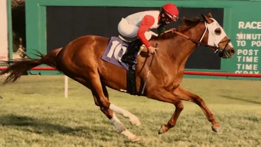 Jinete venezolano gana por segundo día corrido en este hipódromo de Estados Unidos 