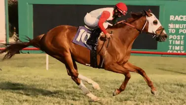 Jinete venezolano gana por segundo día corrido en este hipódromo de Estados Unidos Jinete venezolano gana por segundo día corrido en este hipódromo de Estados Unidos