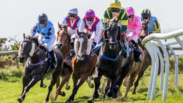 Mira el hipódromo que puede cerrar por esta sorprendente razón Mira el hipódromo que puede cerrar por esta sorprendente razón