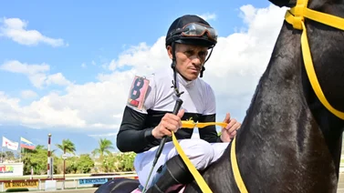 José Gilberto Hernández espera dejar un buen dividendo con esta yegua el domingo en La Rinconada (+Video)