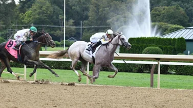 Propietarios venezolanos inscriben a este caballo en  elTampa Bay Derby GII