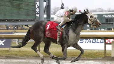 Jockey puertorriqueño llega a 100 triunfos en Estados Unidos