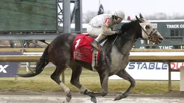 Jockey puertorriqueño llega a 100 triunfos en Estados Unidos Jockey puertorriqueño llega a 100 triunfos en Estados Unidos