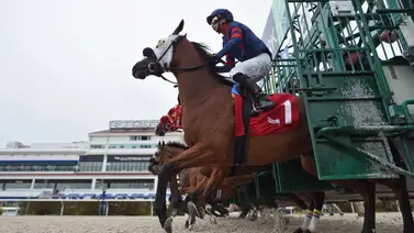 Así quedaron los resultados de las carreras Gulfstream Park 06-03-2024 Así quedaron los resultados de las carreras Gulfstream Park 06-03-2024