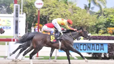 Mira como ajustó la línea de la Gaceta Hípica en La Rinconada Mira como ajustó la línea de la Gaceta Hípica en La Rinconada