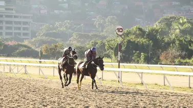 Conoce como le fue a Piemontesa con la gringola en su ajuste Conoce como le fue a Piemontesa con la gringola en su ajuste