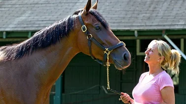 Esta es la primera mujer que le revocan la licencia de entrenadora de caballos en este hipódromo de Estados Unidos