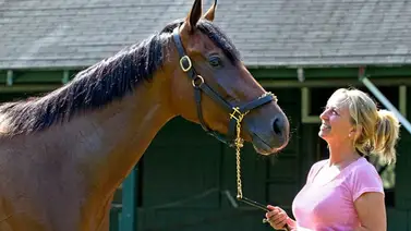 Esta es la primera mujer que le revocan la licencia de entrenadora de caballos en este hipódromo de Estados Unidos Esta es la primera mujer que le revocan la licencia de entrenadora de caballos en este hipódromo de Estados Unidos