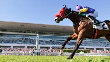 Jockey criollo rompe la taquilla del día en este hipódromo de Estados Unidos
